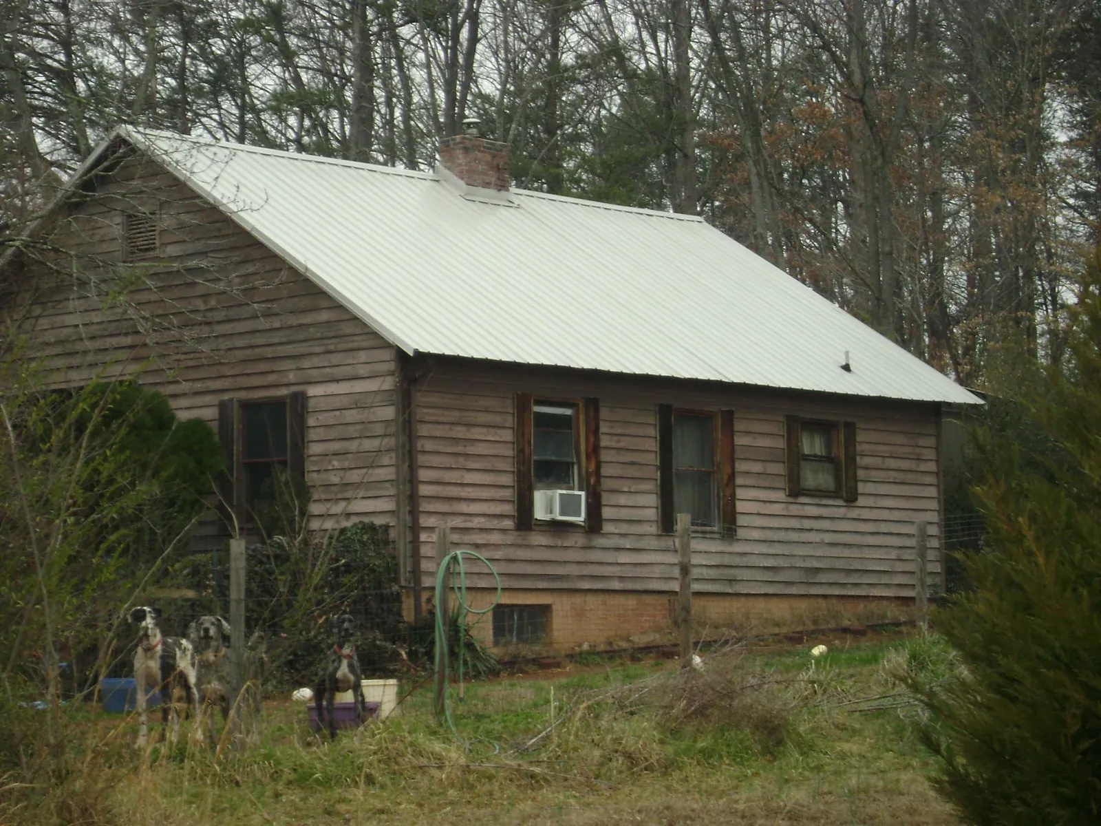 White metal roof on an old wood sided farmhouse, from a Asphalt Shingle Roof Repair job in Morse Bluff